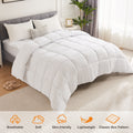 Bedding Polyester Comforter Duvet Insert, Quilted Comforter With Corner Tabs, Box Stitched Alternative Comforter With Ultra Soft Fiber Material, All Season Comforter Insert White Polyester