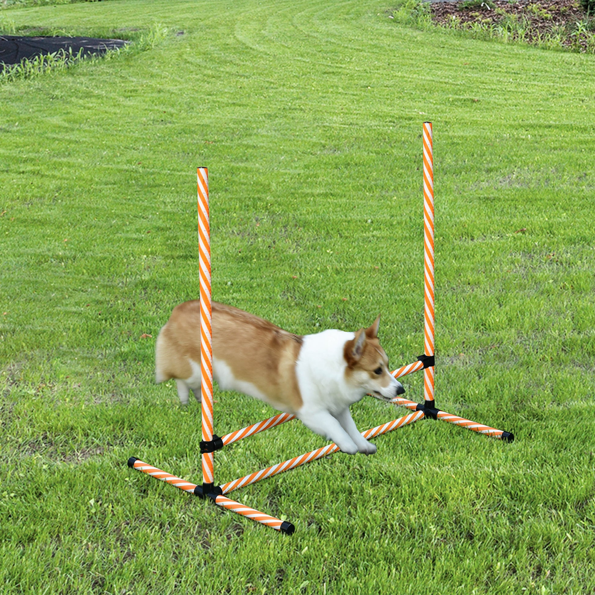 Pawhut 6 Piece Dog Agility Training Equipment With Hurdle Bag And Whistle, Orange And White Orange Plastic
