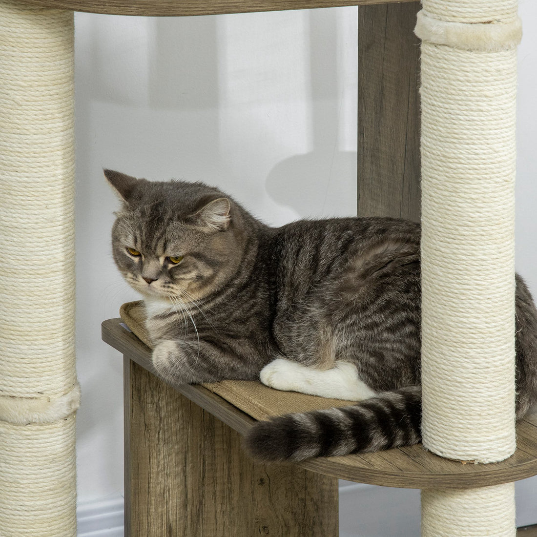 Pawhut 65" Corner Modern Cat Tree Tall For Climbing, Large Multilevel Cat Tower With Scratching Posts, Small Fit Kitten Tower With Sisal, Cream White Cream White Particle Board