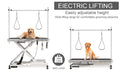 Super Deluxe Electric Pet Grooming Table, 110V 220V Professional Groomer Recommend Adjustable Height From 9.4