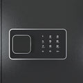 Wall Safe, Safes For Home, Safes & Cabinets, Wall Safes Between The Studs, Quick Access Rifle Safe With Removable Shelf And Digital Keypad Black Black And Silver Steel