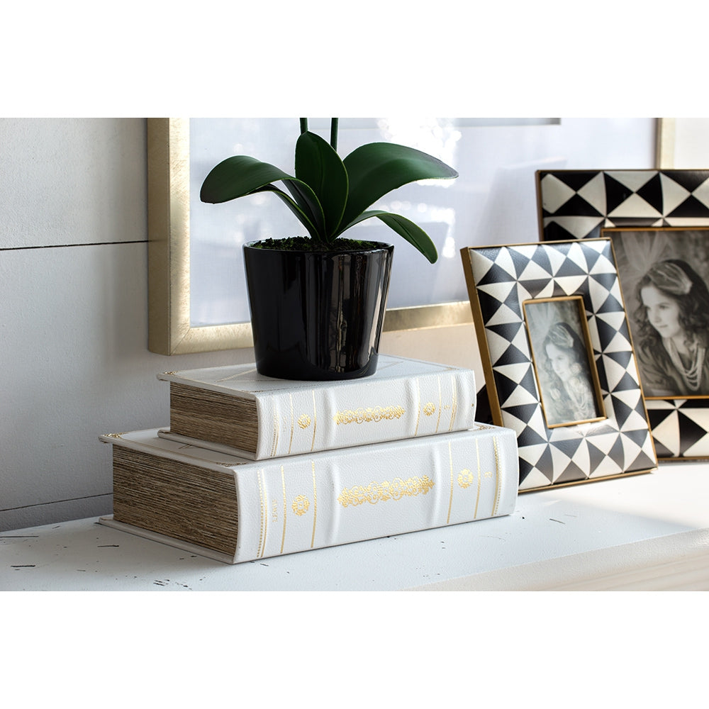 Set Of 2 Book Boxes, L:10.6X6.9X2.6", S:8X5X2" White Gold Mdf