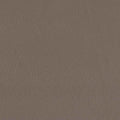 Bella Top Grain Leather Loveseat Taupe Brown Genuine Leather Wood Primary Living Space Medium Firm Cushion Back Mid Century Modern Eucalyptus Square Arms Down Filling Leather