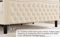 Lift Up Velvet Beige Queen Size Bed Box Spring Not Required Queen Beige Wood Light Brown Bedroom American Design Poplar Slat Beds Foam Velvet Upholstered