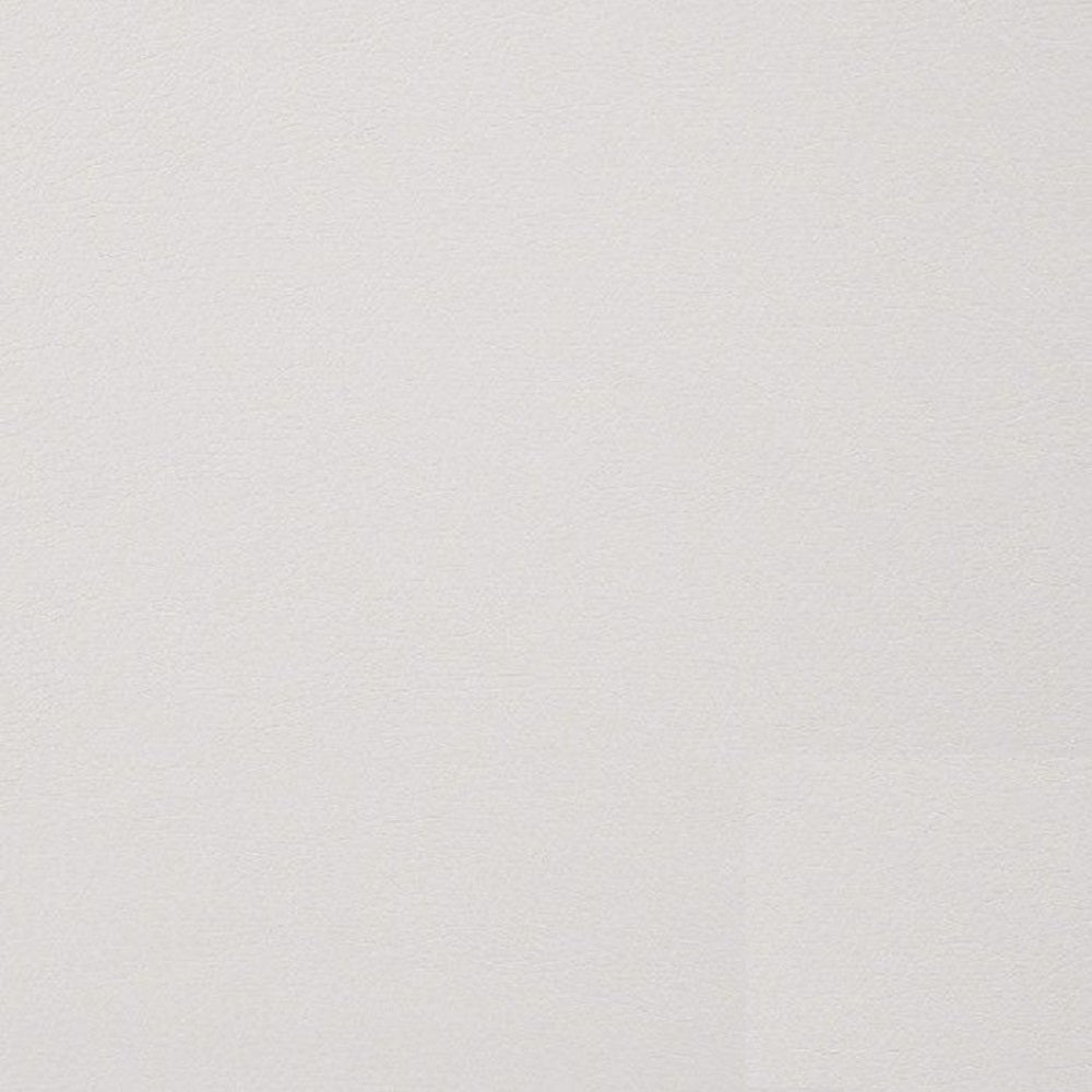 Ivory2Pcs Side Chairs Dining Room Furniture Black Metal Frame Padded Seat Dining Chair Contemporary Style Black Ivory Dining Room Classic,Contemporary,Modern,Ultra Modern Side Chair Solid Back Set Of 2 Metal