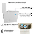 1.1 1.6 Gpf Elongated Comfort Height Floor Mounted One Piece Toiletcupc Certified, Watersense Cetified, Ceramic, White Color, Soft Close Seat White Ceramic