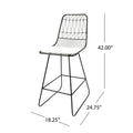Niez Counter Stool Black Ivory Iron