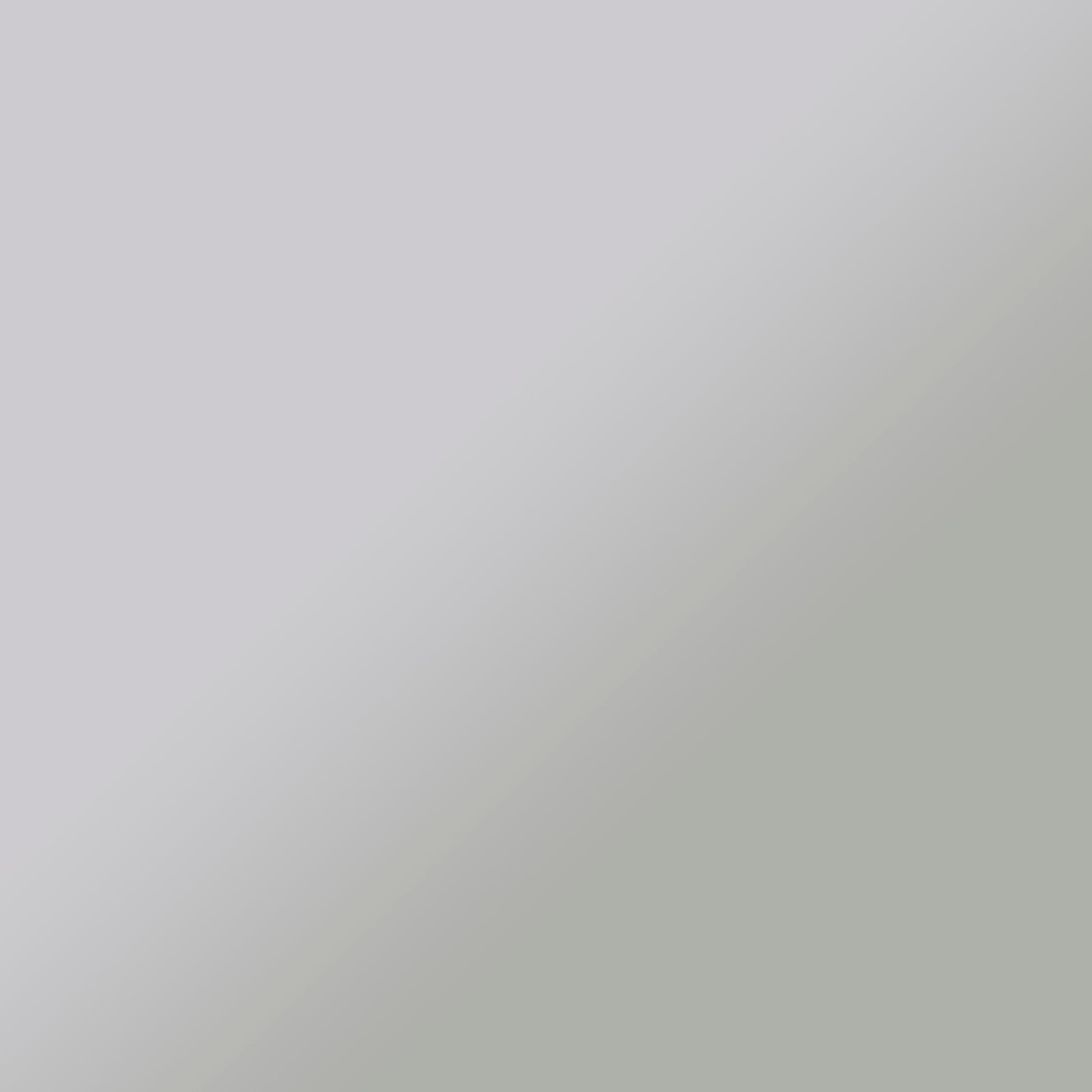 Anthrop Decorative Mirror W Storage Silver Iron