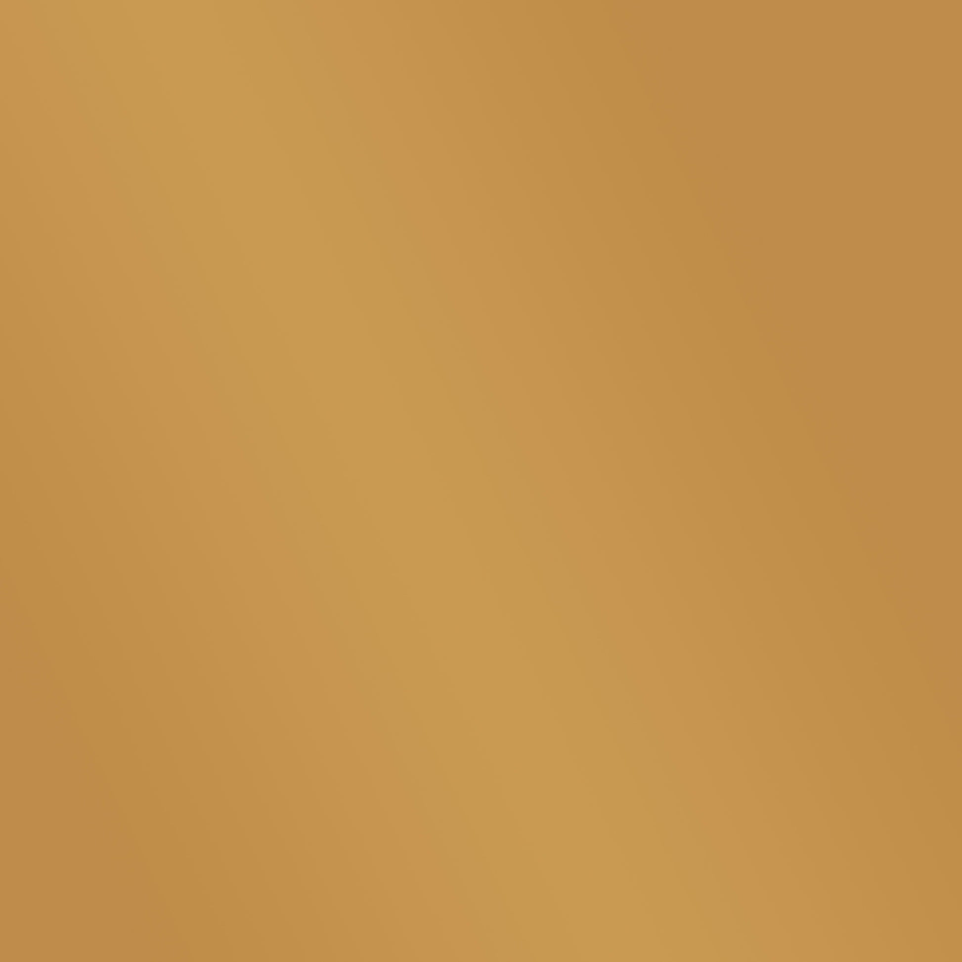 Melston Decorative Mirror W Storage Gold Iron