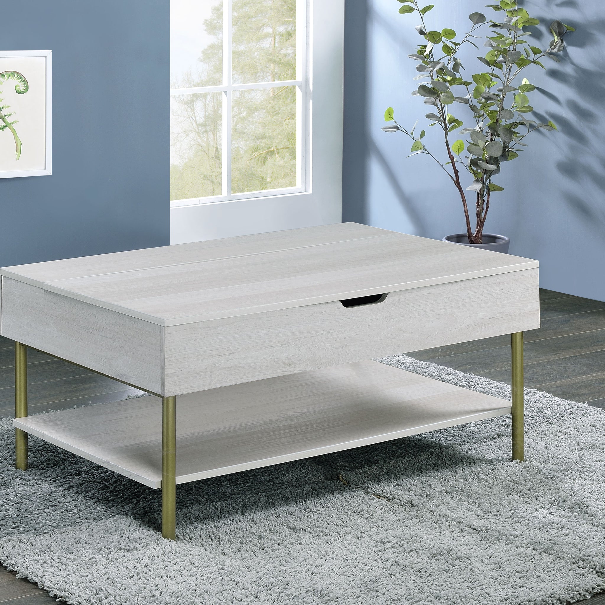 Whitman Lift Top Coffee Table White White Wood