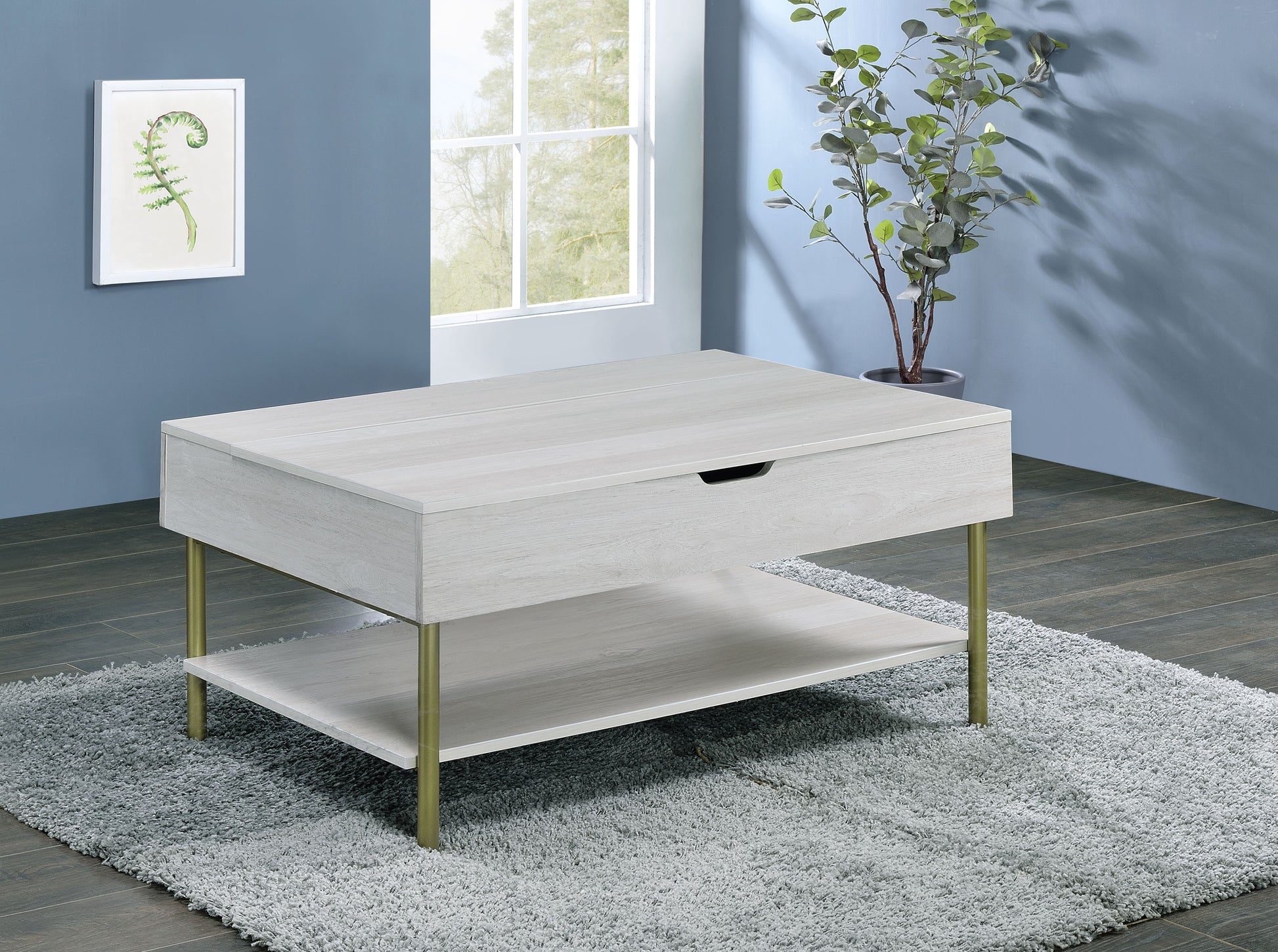 Whitman Lift Top Coffee Table White White Wood